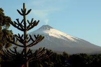 Copia-de-iStock-1053755504-scaled.jpg